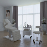 Косметологическое кресло Альфа-10 (электропривод, 2 мотора)