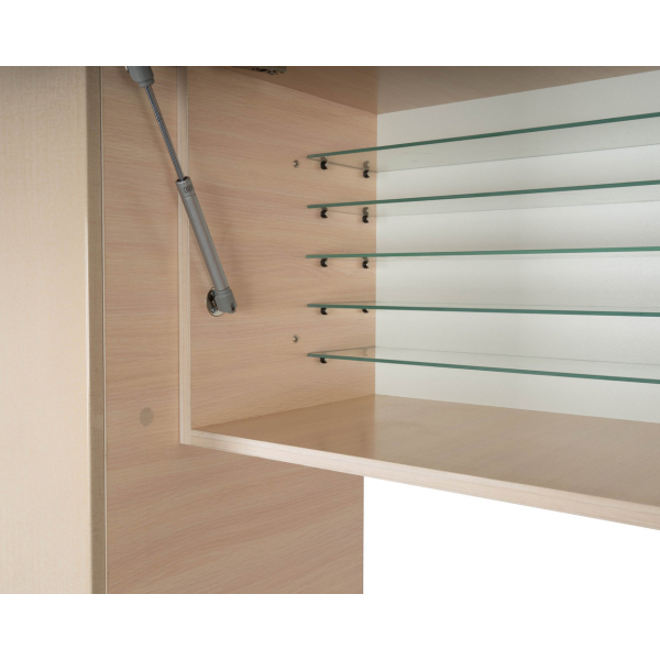 Лаборатория "807.11"